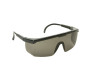 Óculos Proteção Segurança Anti-risco Spectra 2000 Carbografite