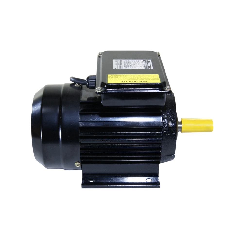 Motor Elétrico 2CV 2 Pólos Monofásico Bivolt IP55 YL90S Lynus