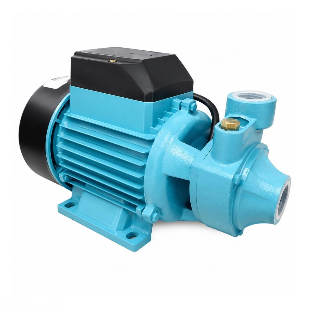 motobomba-periferica-12hp-ebp500-ekazza-lepono-127v-1 motobomba-periferica-12hp-ebp500-ekazza-lepono-127v-1