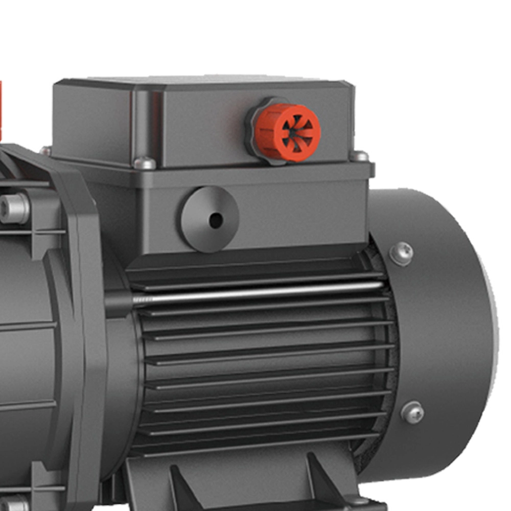 Motobomba Hidromassagem Monof 1HP 127/220V LSPA1100 Lepono Motobomba Hidromassagem Monof 1HP 127/220V LSPA1100 Lepono