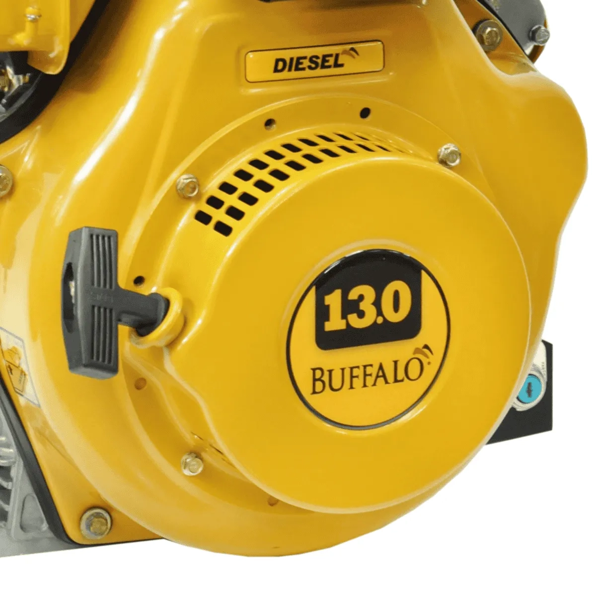 Motor Diesel Partida Elétrica 4 Tempos BFDE 13.0 Buffalo Motor Diesel Partida Elétrica 4 Tempos BFDE 13.0 Buffalo