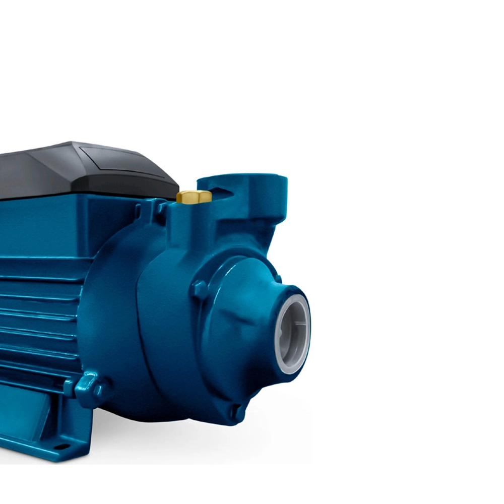 Motobomba Periférica 1HP Monofásica BP80 Gidrox Lepono 220V Motobomba Periférica 1HP Monofásica BP80 Gidrox Lepono 220V